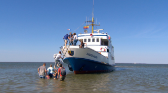 bearbeitet-2