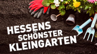 Bildschirmfoto-2021-07-23-um-10.48.57